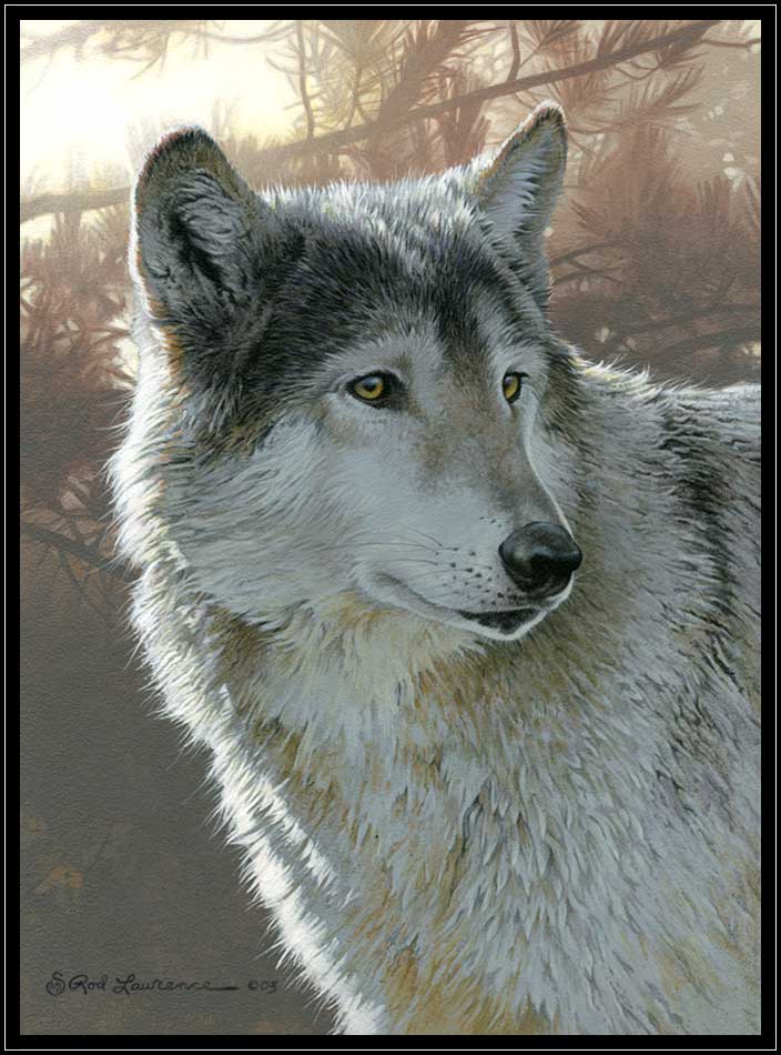 Painting of wolf portrait