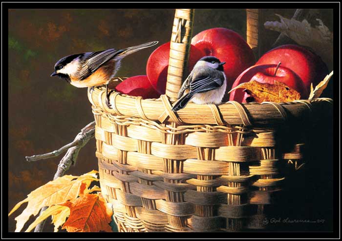 Black-capped chickadees on basket of apples