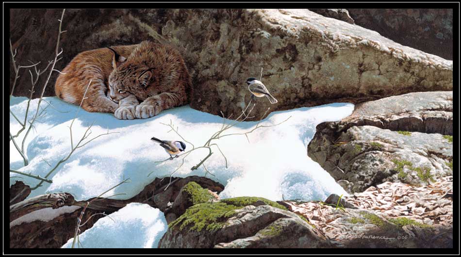Black-capped chickadees and lynx in spring snow and rocks