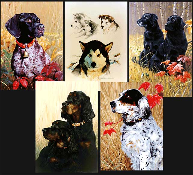 Dog Commissioned Paintings