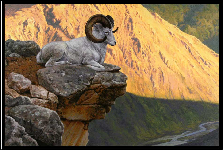 Painting of Dall's ram on ledge overlook in Alaska