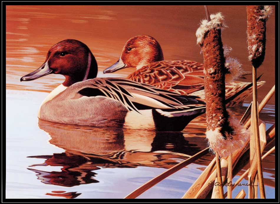 2007 Michigan Duck Stamp