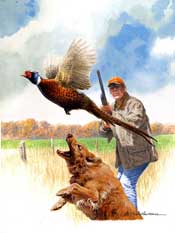 Pheasant hunter with dog illustration