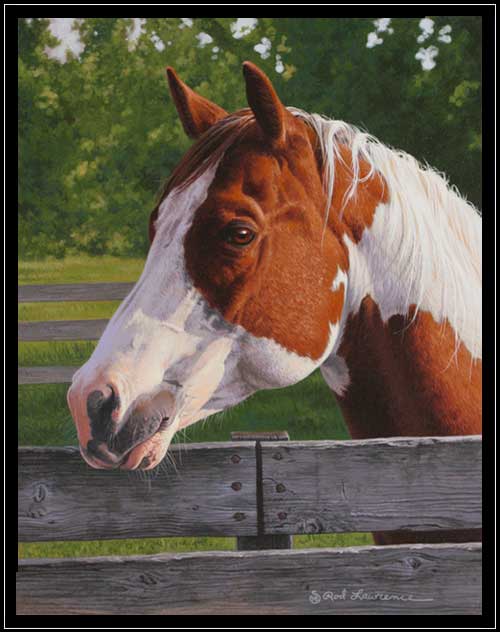 Portrait of paint horse