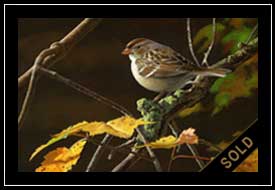 Autumn Gold - sparrow