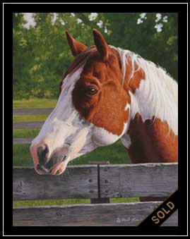 Schotizie - paint horse portrait