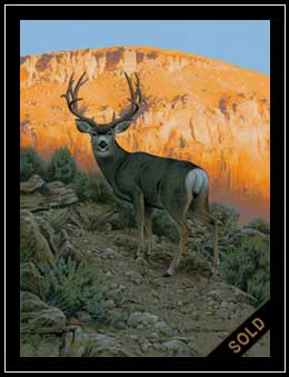 Sunrise Mulie - mule deer buck