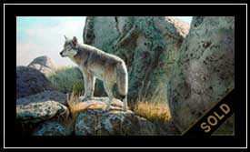 Wolf Spirit - wolf and rocks