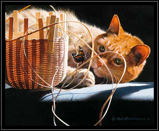 Domestic cat with woven basket and butterfly